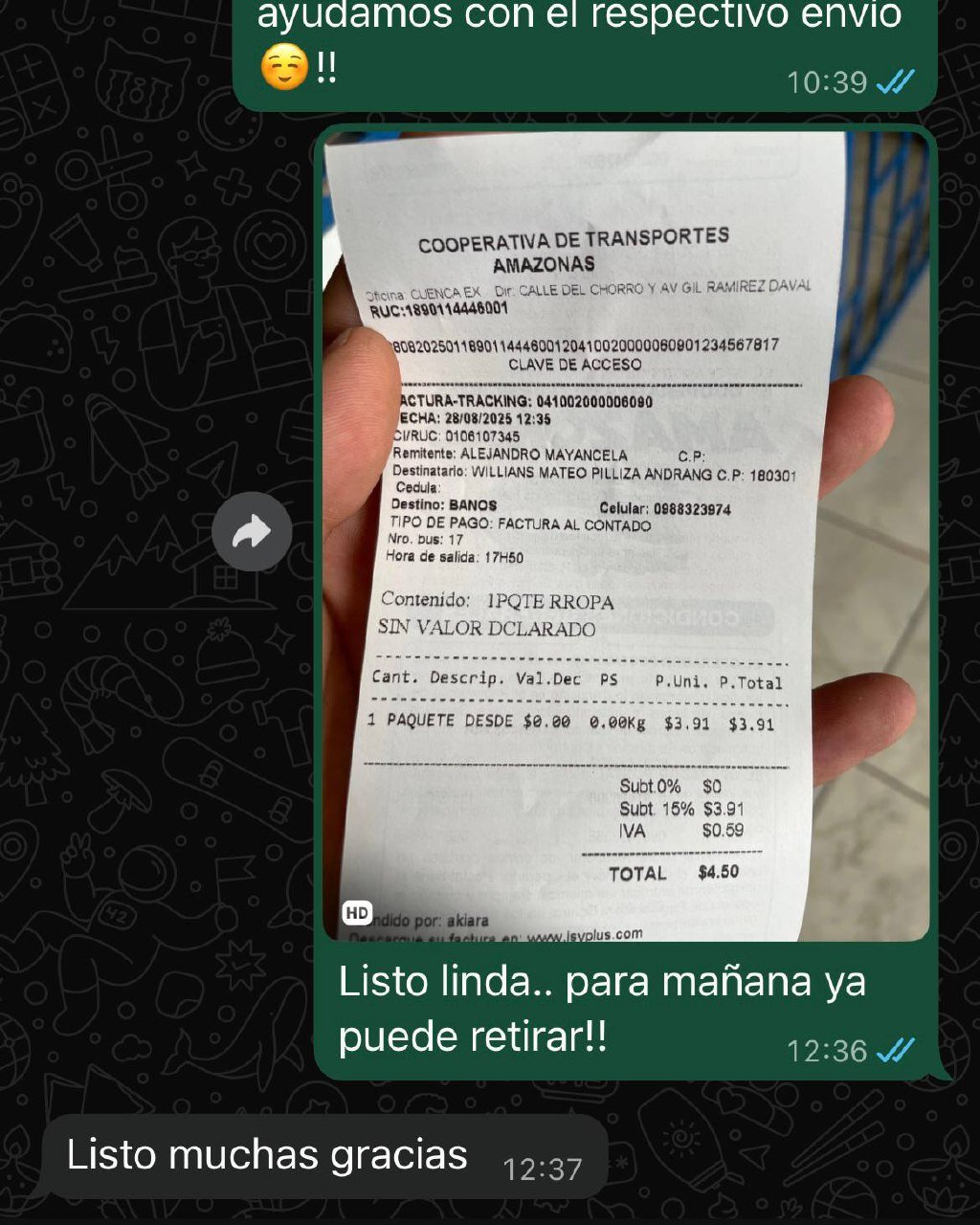 photo_5006161602335673361_y